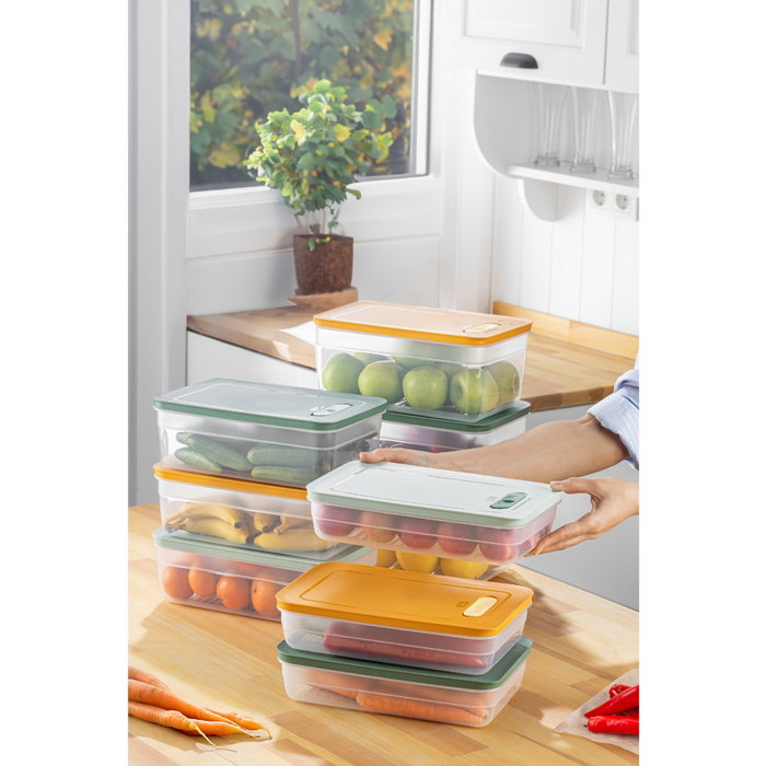 Hermia Set de Cajas de Almacenaje 9 Piezas Plástico Sin BPA